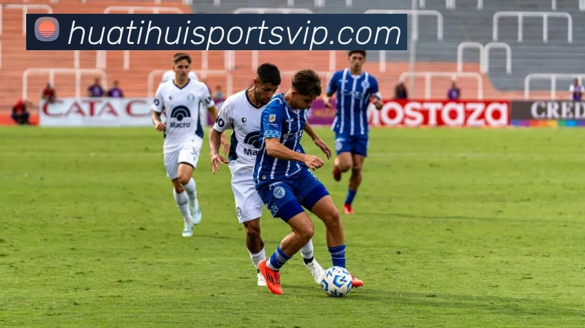 华体会体育平台生态图